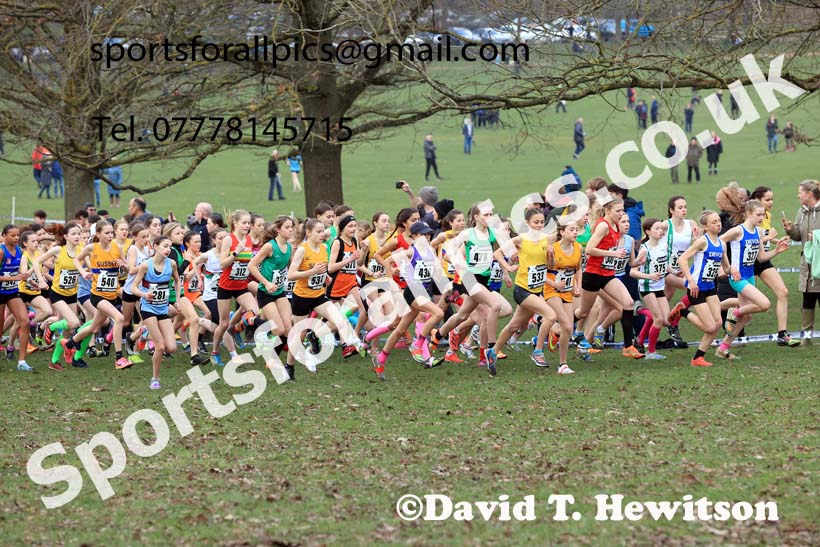 Girls Under-13s, 2024 CAU Inter Counties Cross Country Champs., Wollaton Park, Nottingham. Photo: David T. Hewitson/Sports for All Pics
